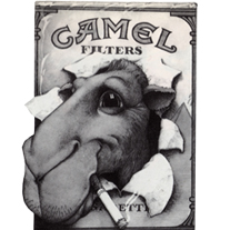 Camel mintájú póló